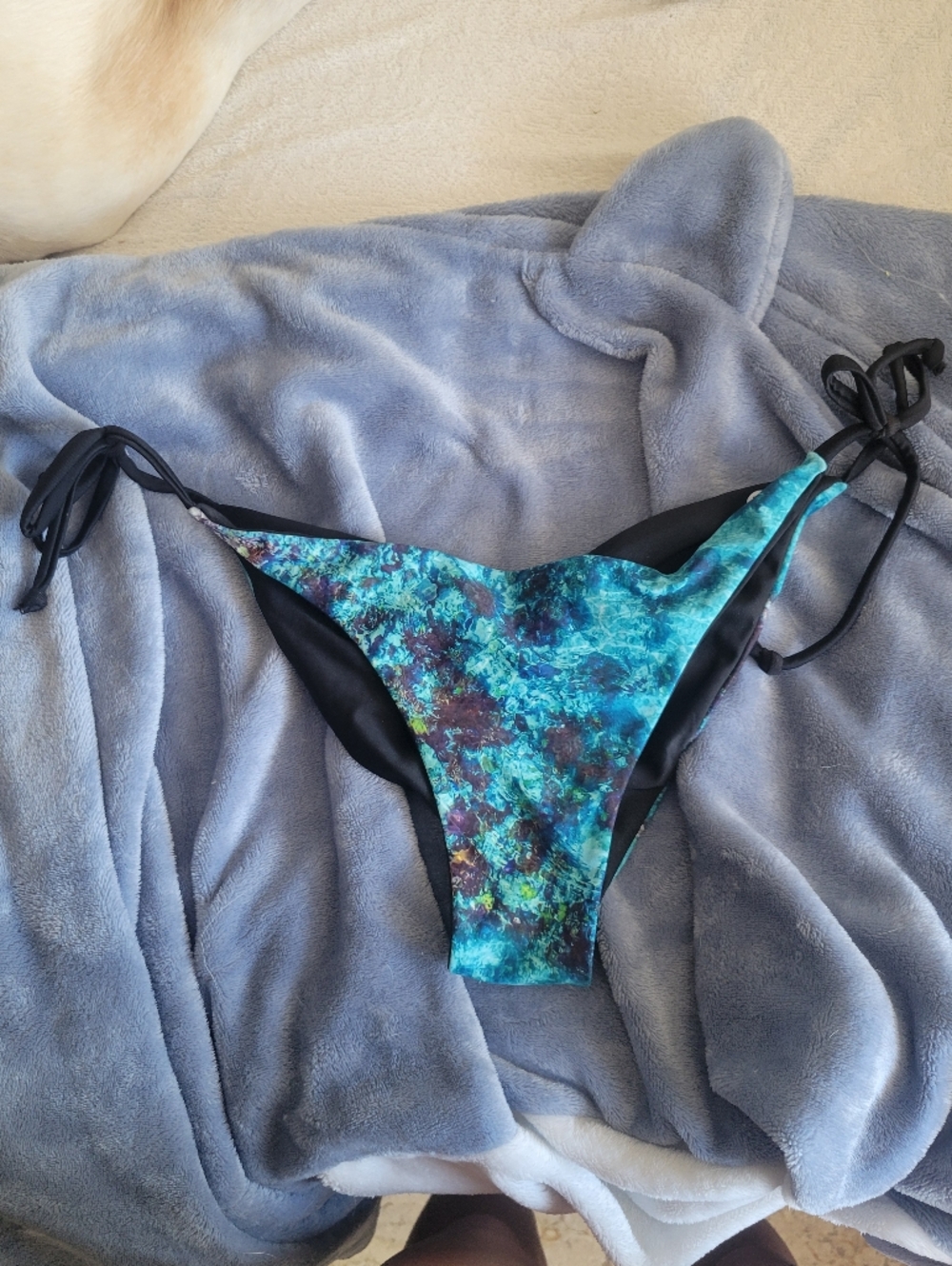 Pelagic Bikini Bottom